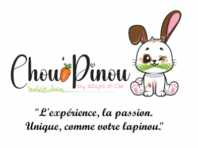 Logo et slogan chou pinou